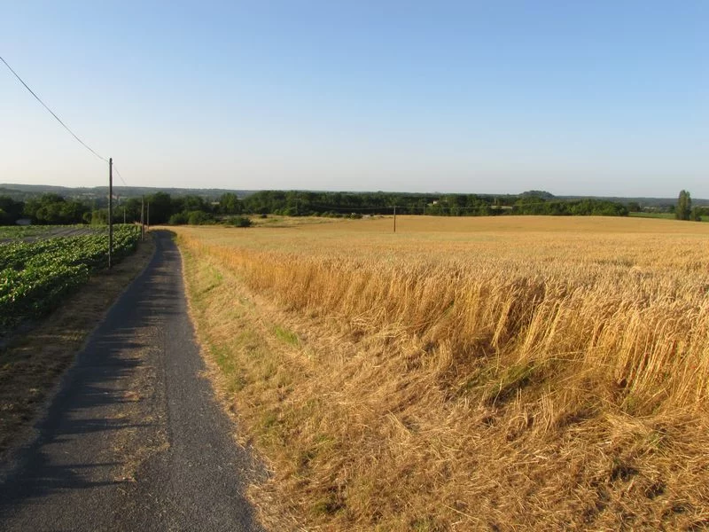 Plaines cultivées de Monflanquin
