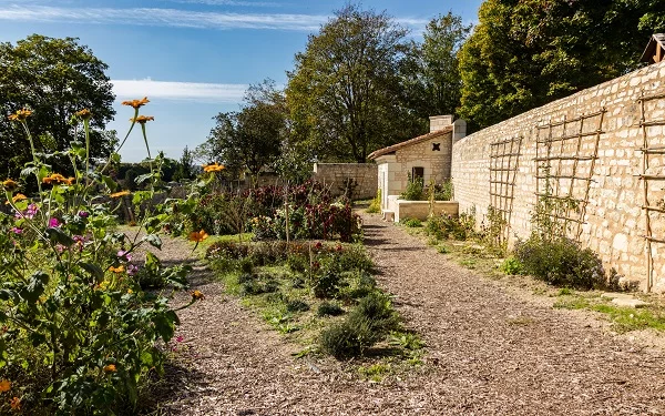 Histoire Côté Jardins, une Découverte Culturelle et Botanique