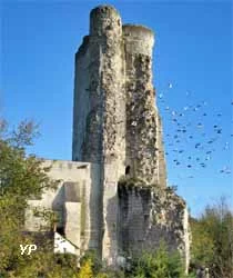 Site castral du Haut Clairvaux