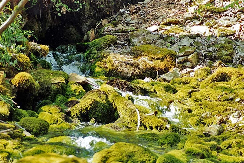 Source de Sénance
