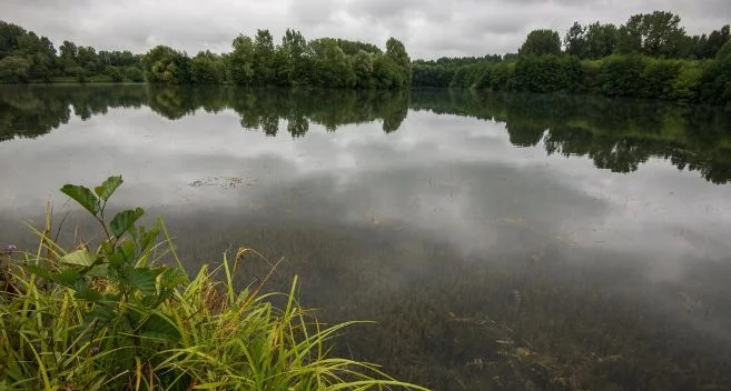 Espace naturel sensible des Savoies et des Népruns