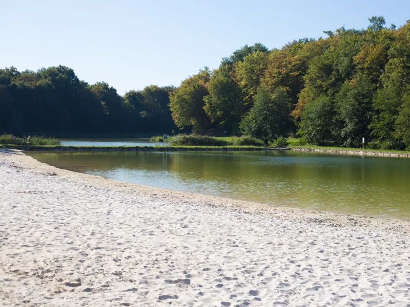[temporairement interdit d'accès] Domaine nature et de loisirs de Blasimon