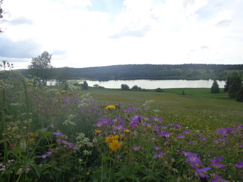 Belvédère sur les Lacs