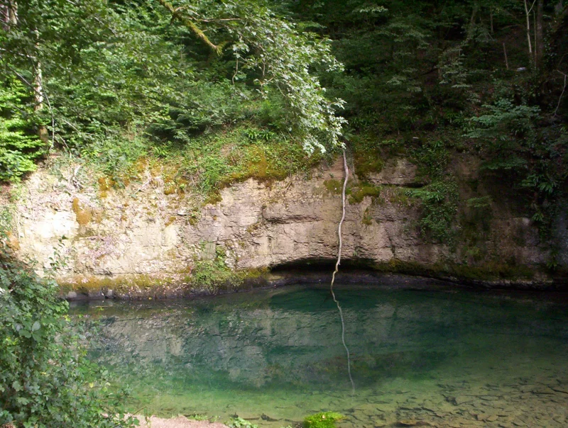 Les sources du Cusancin