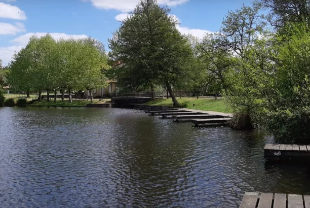 Etang des forges