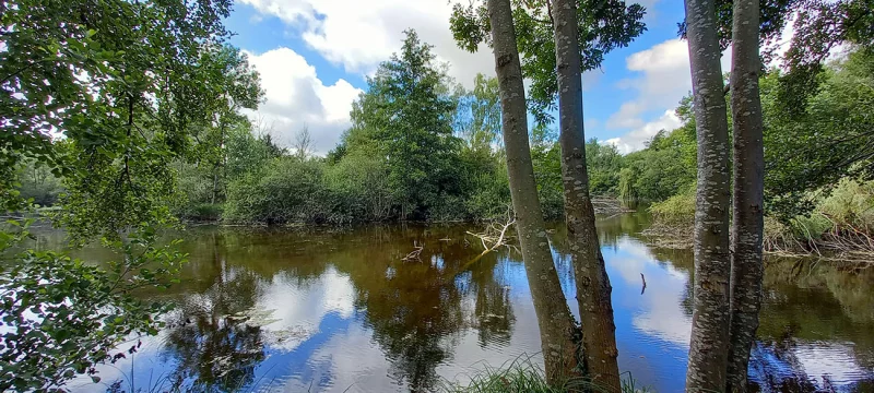 Le Domaine de la Solitude