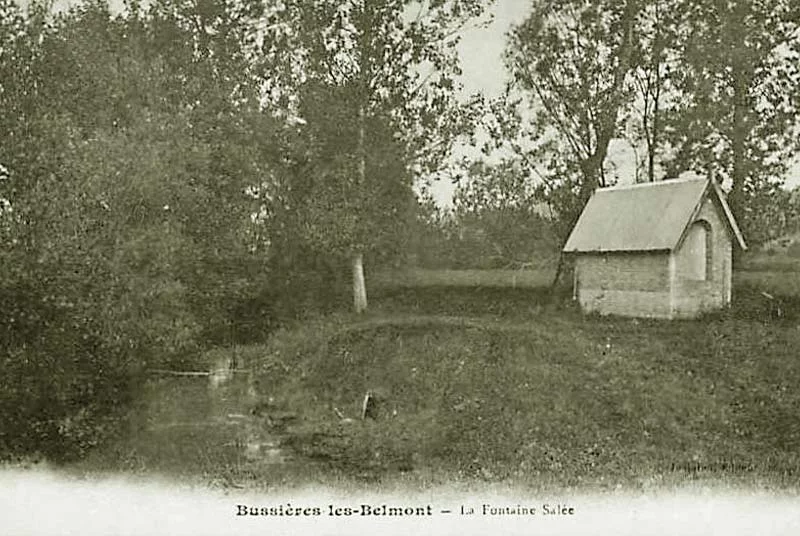 Source de la fontaine salée