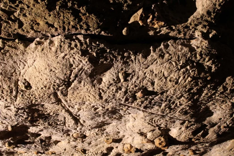Grotte de Bara Bahau - Le Sanctuaire de l'Ours