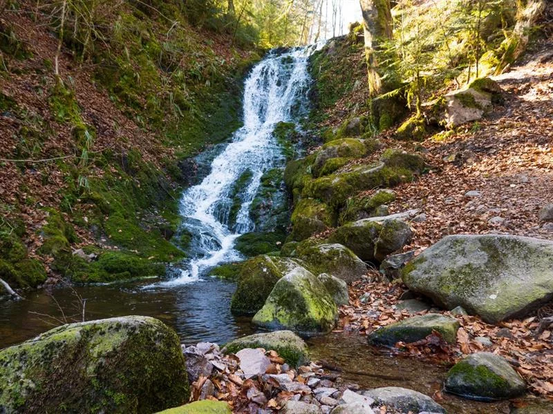 Cascade du cuisinier