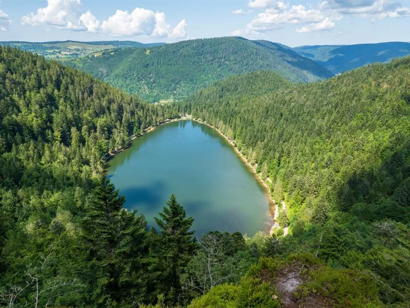 Le lac des corbeaux