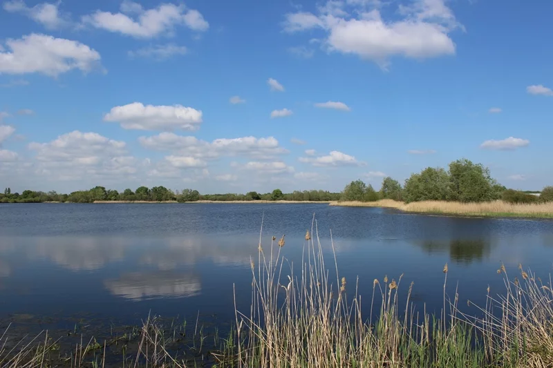 Observatoire de l'Etang Neuf (Domaine du Plessis)