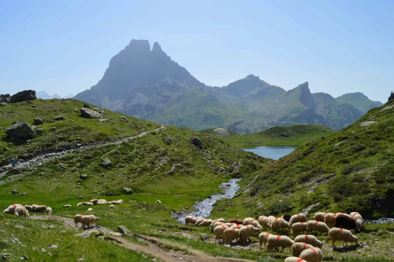 Parc National des Pyrénées