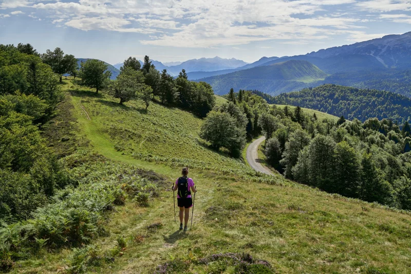 Plateau d'altitude d'Issarbe