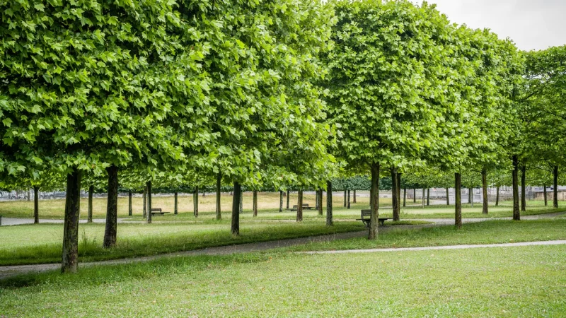 Basse-Plante du Musée national et domaine du Château de Pau