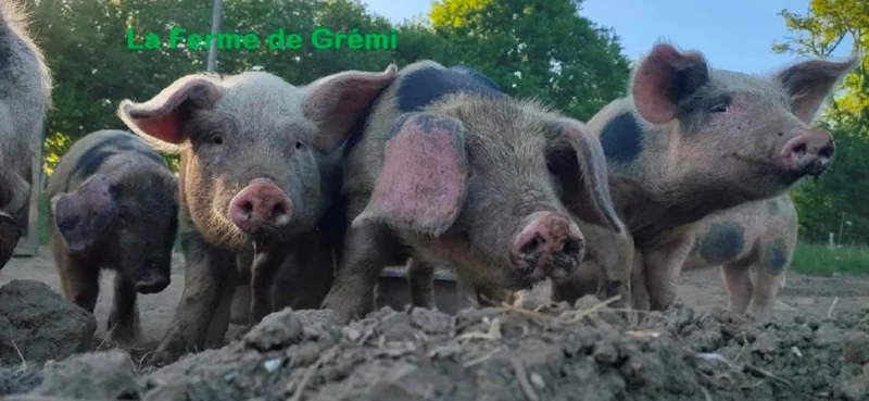 La Ferme de Grémi