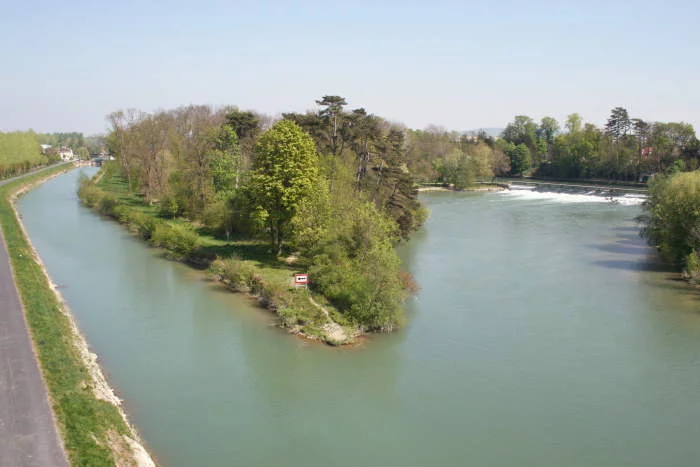 Ile Olive