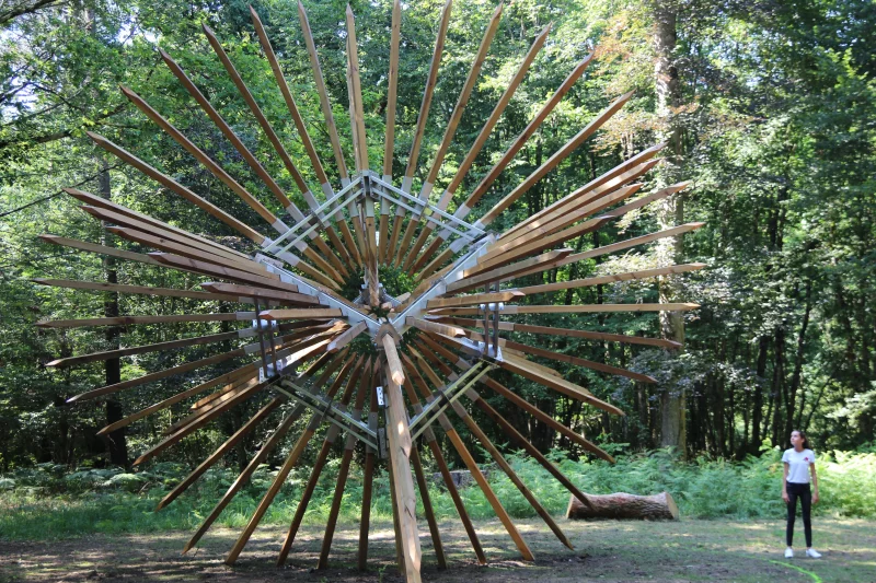 La Forêt des Sens