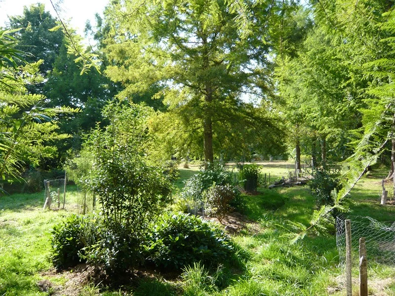 Parc Botanique des Landes Girondines