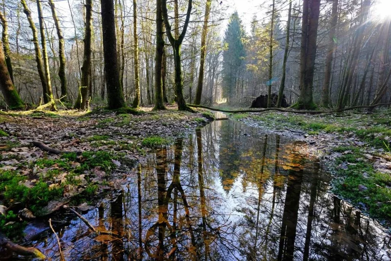 La Croix Scaille