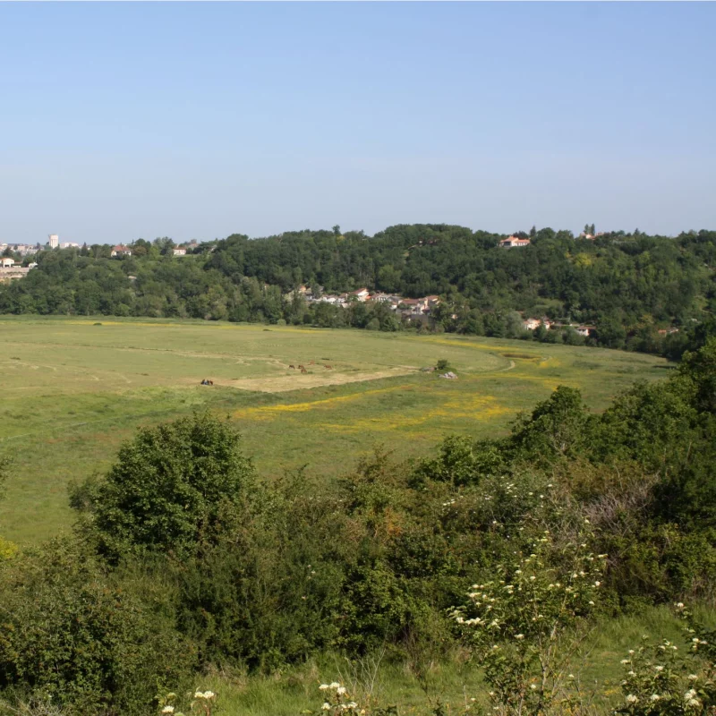 Le coteau et la prairie du Châtelier