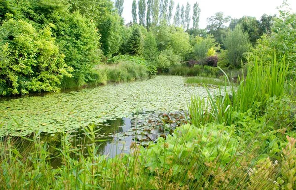 Arboretum de La Tuillière