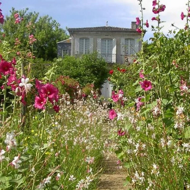 Château de Mongenan