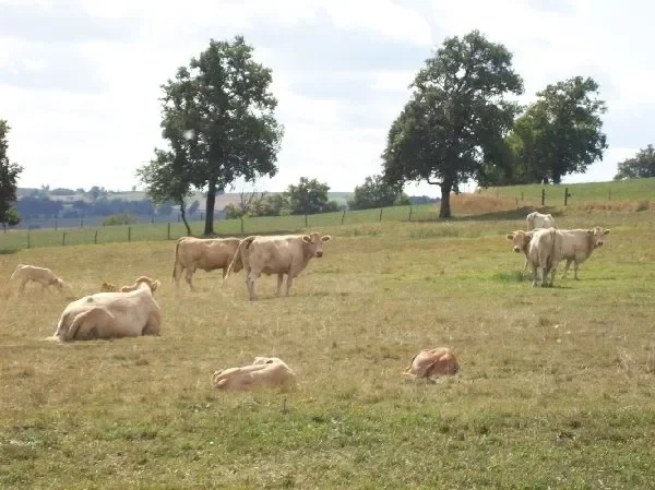 La Ferme de Tessi