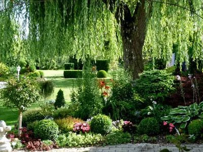 Le jardin du Presbytère