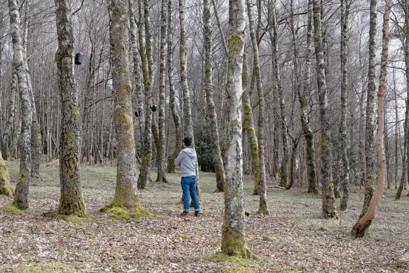 Bois de sculptures de l'Ile de Vassivière