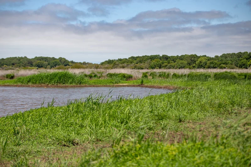 Sentier pédagogique du marais de la Perge