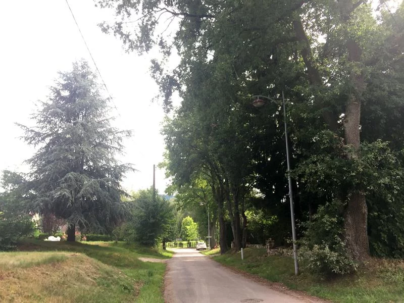Allée des Chênes