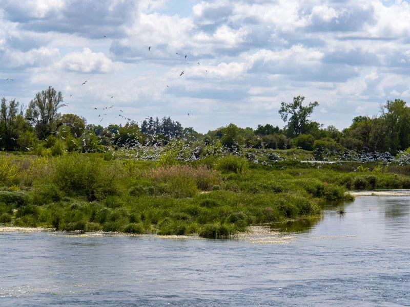 Espace naturel sensible les Rives de Beaugency