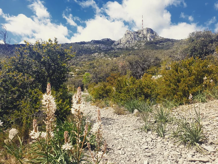 LA FONT DU GRIFFE ET LE PIC BAUDILLE