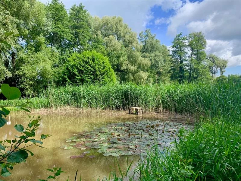 L'arboretum de la Bodenmatten