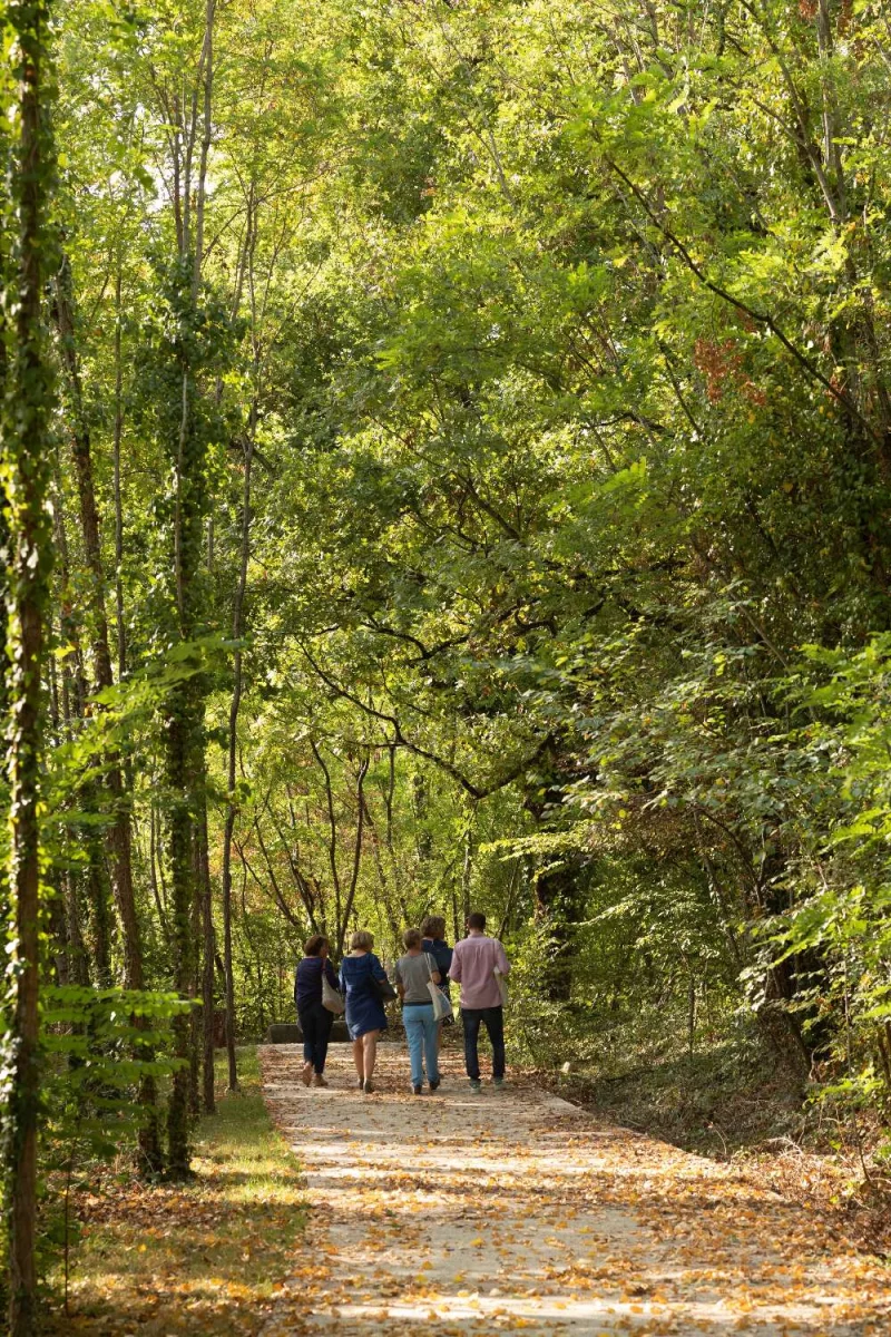Le parc Ausone