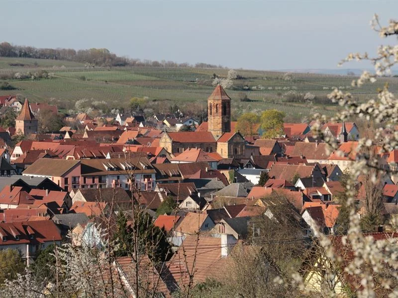 Rosheim