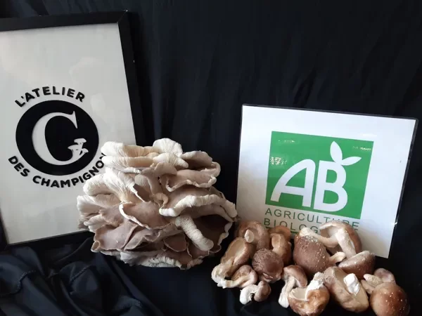 L'Atelier des Champignons