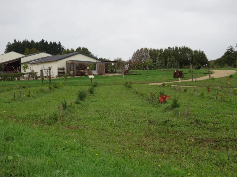 Arboretum et la scierie d'autrefois - Musée