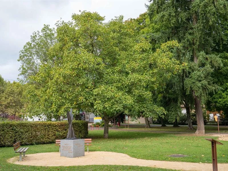 Parc Albert Schweitzer