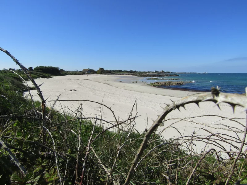 Plage de la Mare