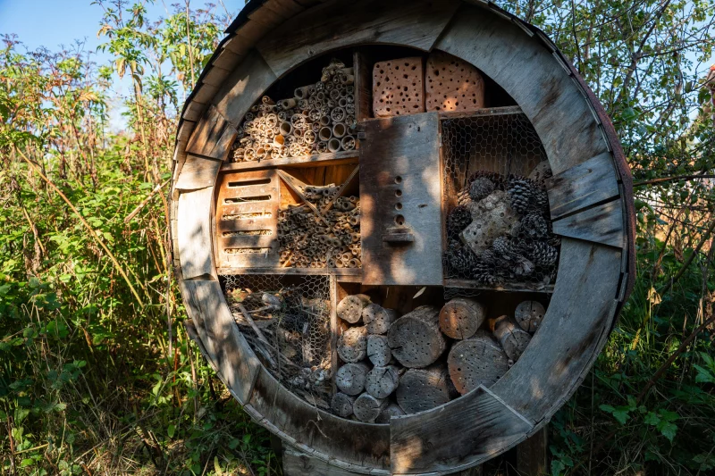 Aire de biodiversité de Lamouly