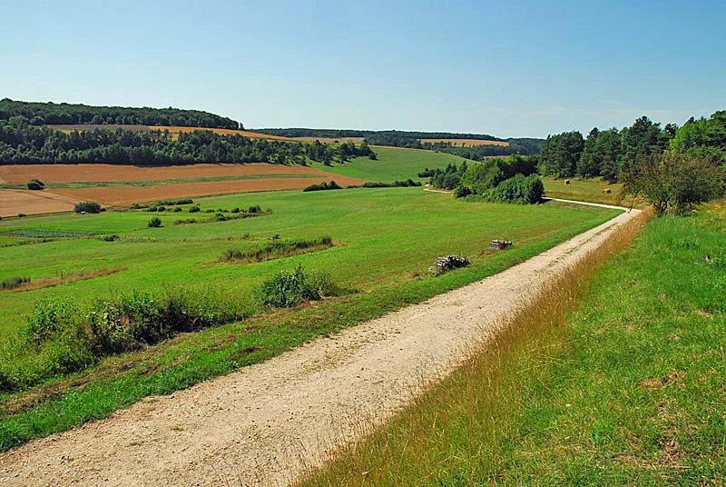 Pelouses, bois et marais de la combe Courteau et du Chanet