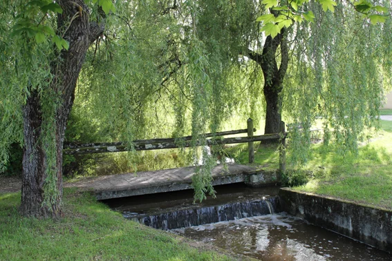 Le marais de la Chapuisette