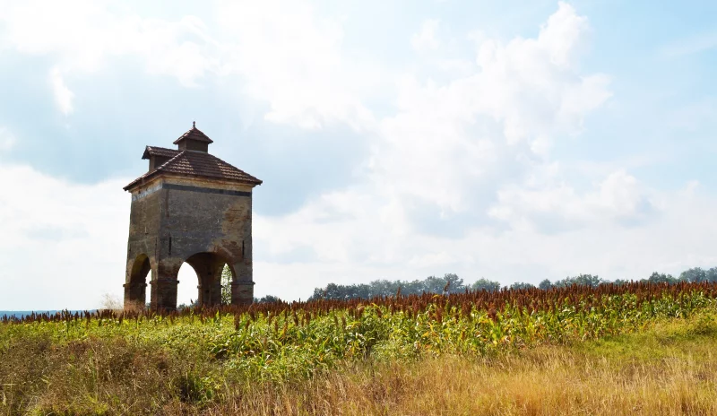 LE COLOMBIER DU XIXEME SIECLE