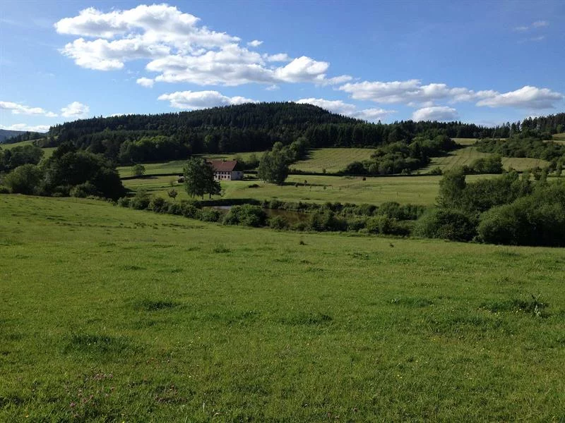 La clairière du Hang