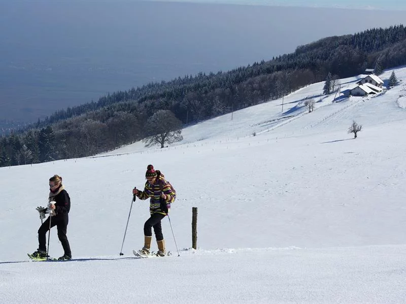 Les chaumes du Molkenrain
