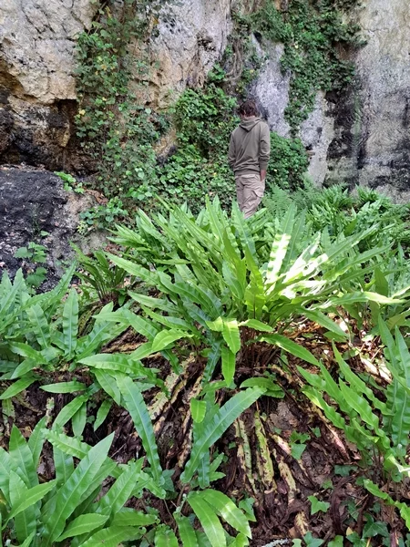 La Carrière Cheret