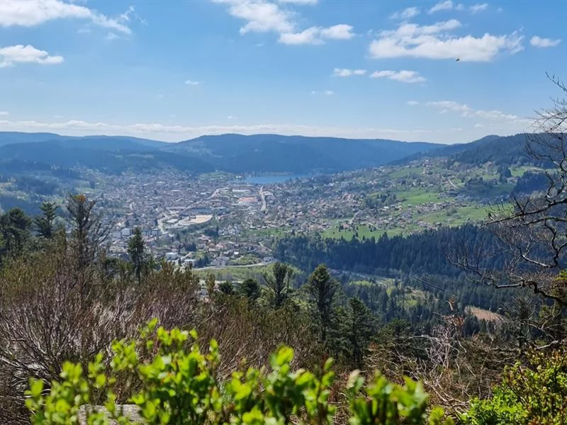 La roche des Bruyères