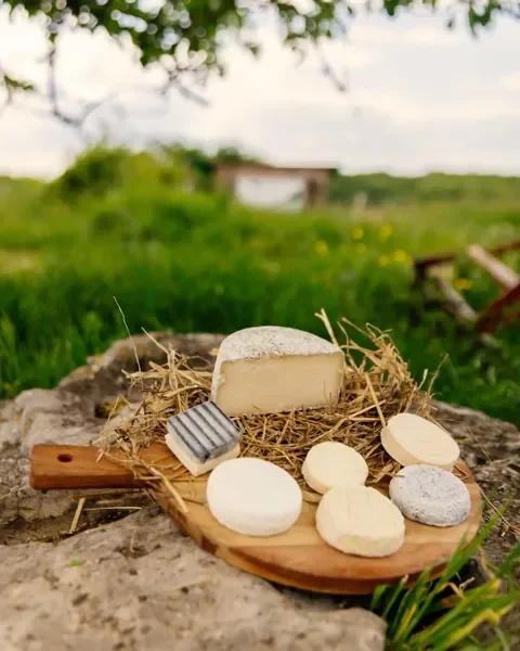 La Chèvrerie du Petit Compostelle