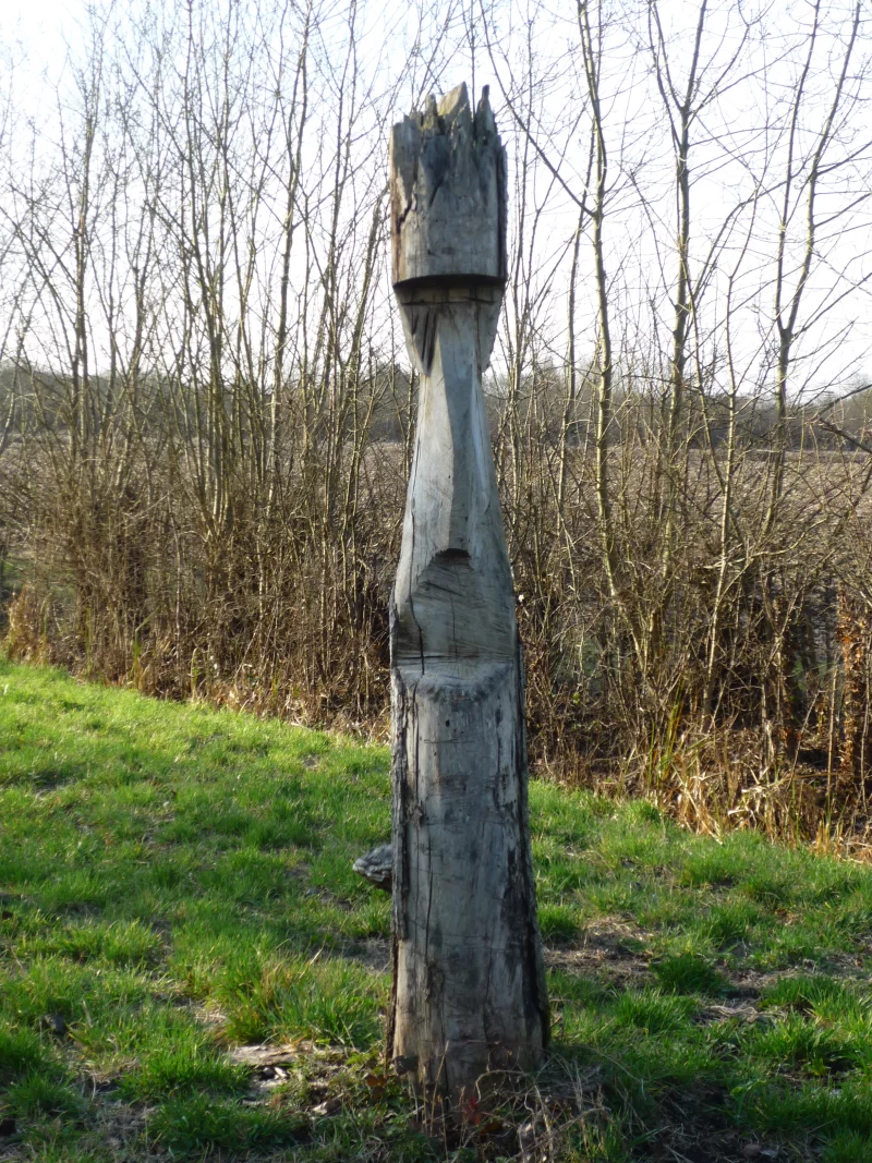 Marais de Saint-Georges-de-Rex et d’Amuré